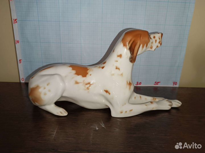 Большой Рыжий Пойнтер Дог. лфз