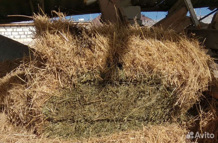 Люцерна в тюках