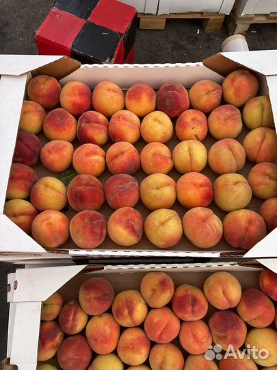 Персики Крыма