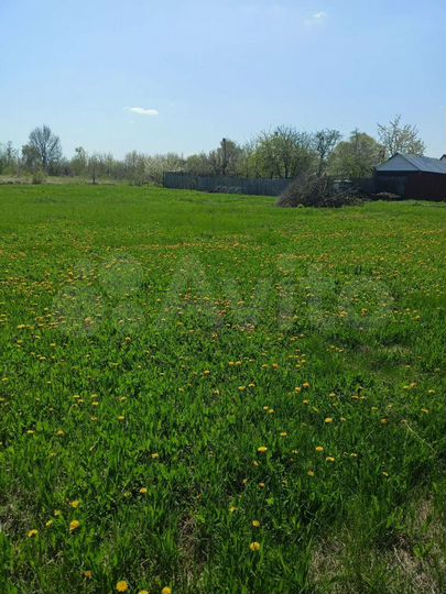 Дом 64 м² на участке 50 сот.