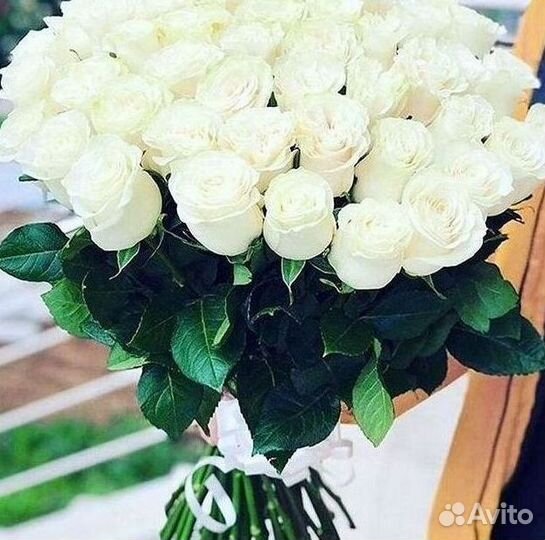 Высокие розы Гигантские розы Доставка цветов