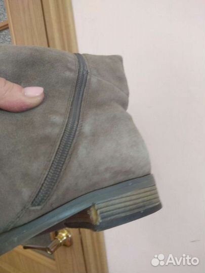 Сапоги Lissette Зима. Замша натуральная