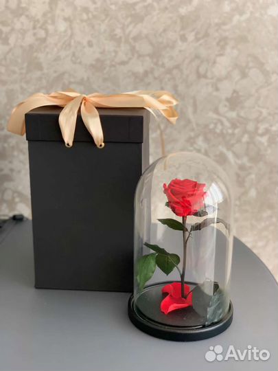 Розу в колбе живая роза цветы праздник Севастополь