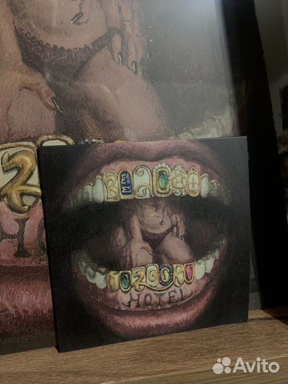 Saluki — beach rock hotel cd