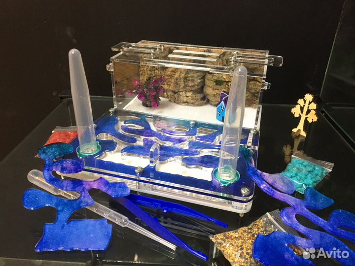 Муравьиная ферма полный комплект с муравьями