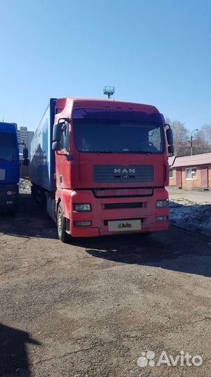 MAN TGA 18.480 с полуприцепом, 2008