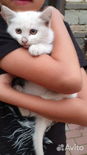 Малышка в дар