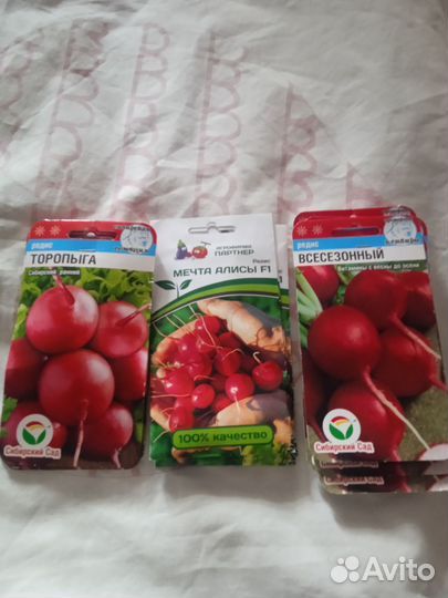 Семена редиса Торопыга, Мечта Алисы, Всесезонный