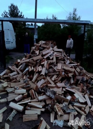Дрова Береза навалом в Приозерске
