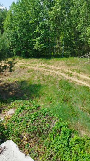 Участок 66 сот. (ИЖС)