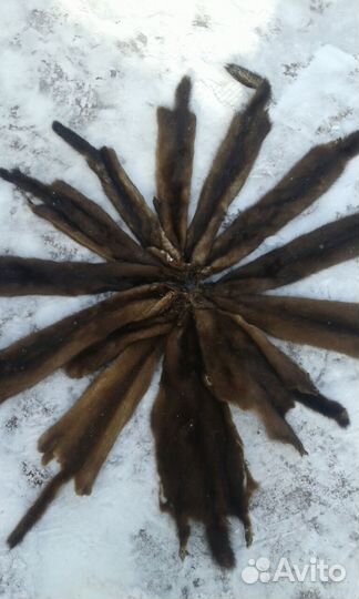 Шкурки Норки выделанные