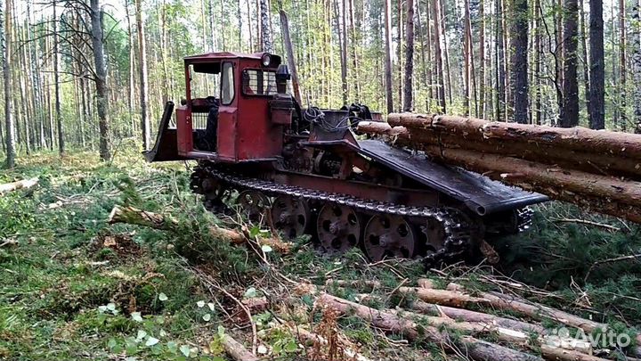 Бригада в лес на хлыстовую заготовку