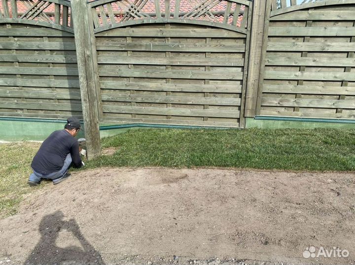 Качественный газон