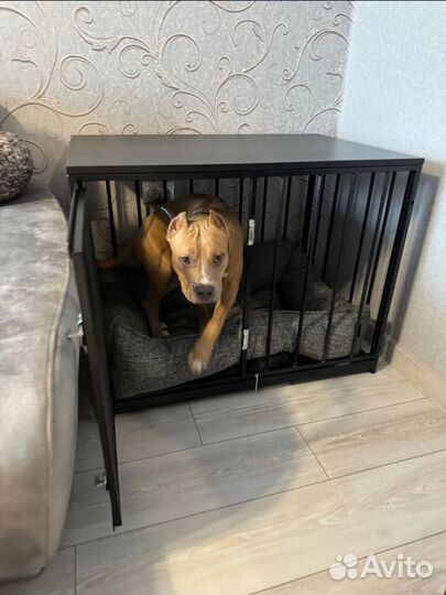 Клетка для собак антивандальная