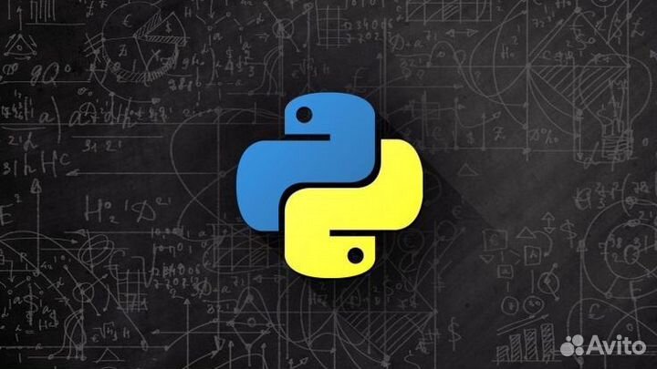 Репетитор по программированию python