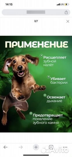 Зубная щетка и гелевая паста и для собак и кошек