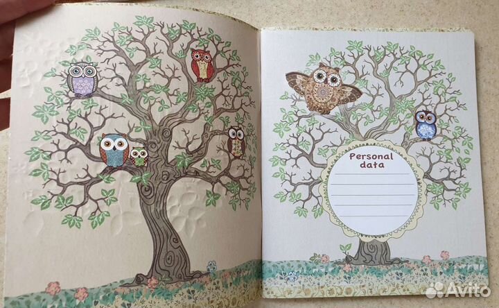 Комплект тетрадей 48 л. в клетку совы