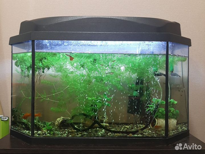 Аквариум с тумбой бу