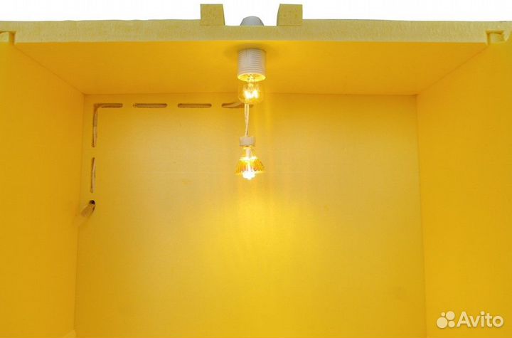 Брудер для цыплят 