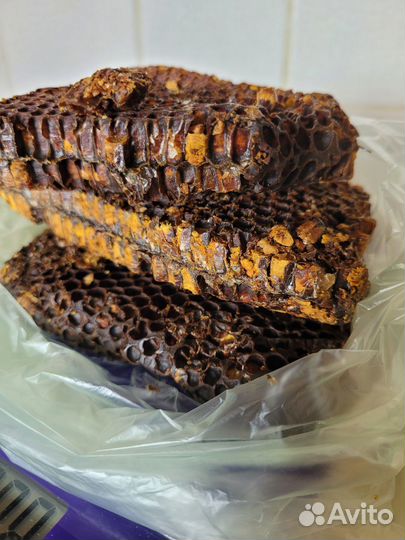 Перга пчелиная в сотах с пасеки