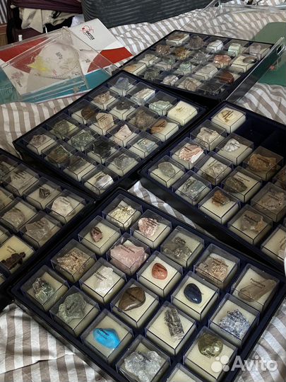 Минералы сокровища земли