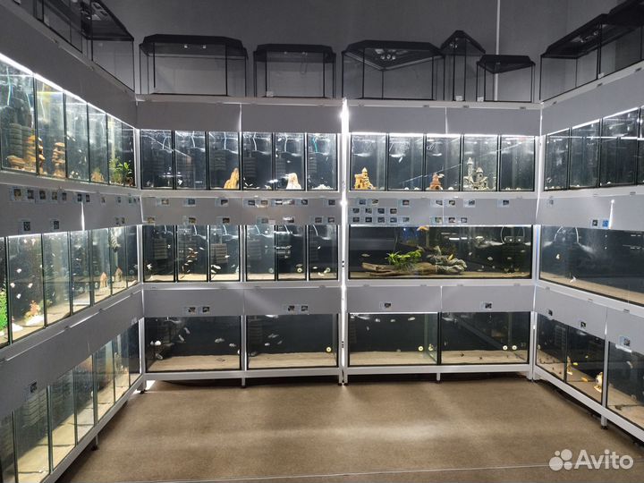 Аквариум - телевизор с крышкой от 25л до 130л