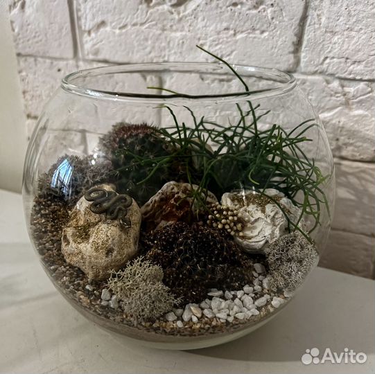 Флорариум, подарок