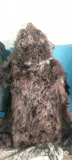 Продам шкуру волка, лисы, медведя (имитация)