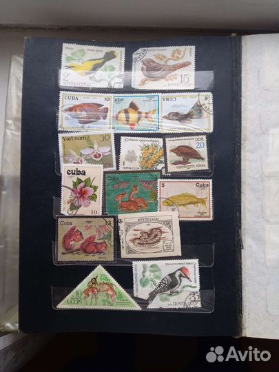 Коллекционные марки СССР