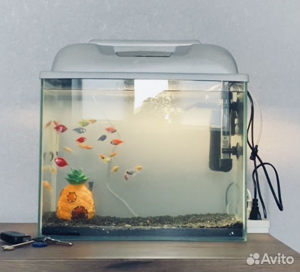 Аквариум 30л с крышкой и подсветкой