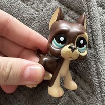 Littlest Pet Shop