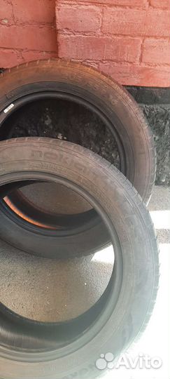 Nokian Tyres Nordman SX2 55 R16