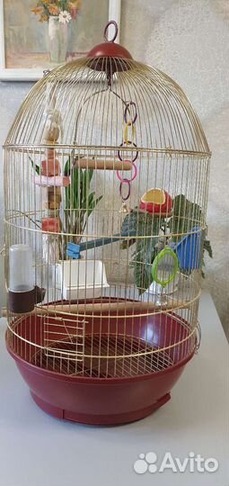 Клетка для птиц