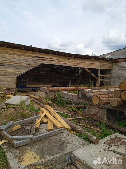 Сдам в аренду ленточную пилораму на долго