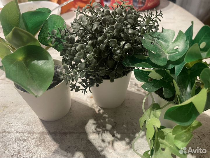 Искусственные растения IKEA