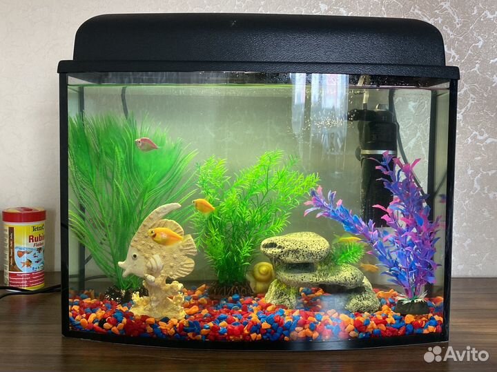 Аквариум с рыбками
