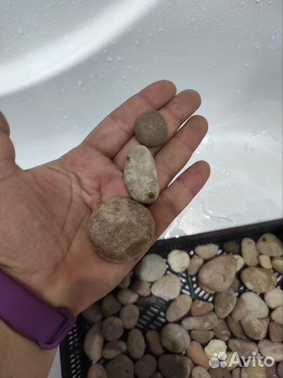 Камни с моря