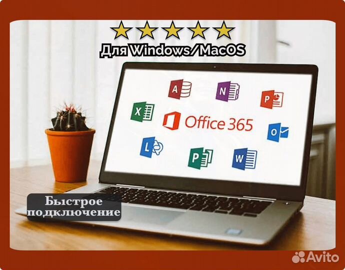 Microsoft Office 365/2021/2019/2016 76198