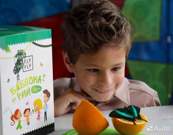 Готовый бизнес - ферма бабочек «Флай-Флай»