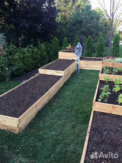 Рулонный газон, укладка, продажа