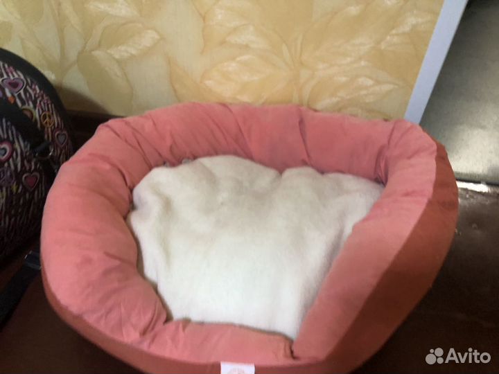 Лежанка для животных