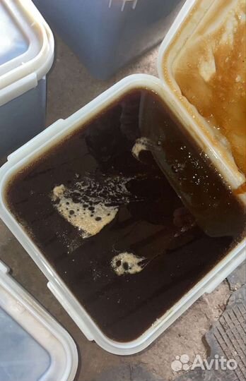 Мед гречишный свежей откачки