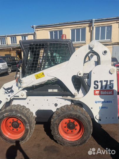 Аренда минипогрузчика Bobcat