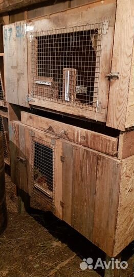 Клетка для кроликов