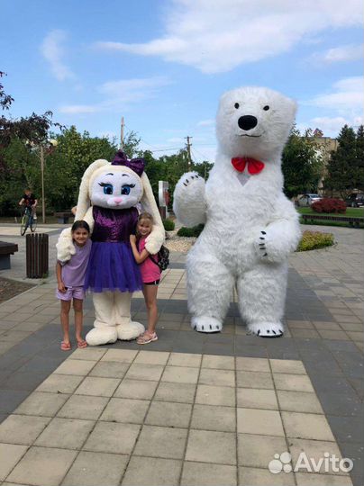 Праздники мероприятия, свадьбы дни рождения