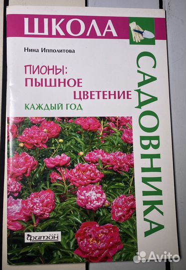 Пионы: пышное цветение каждый год. Ипполитова