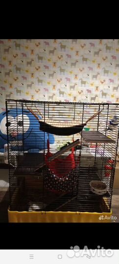 Большая Клетка