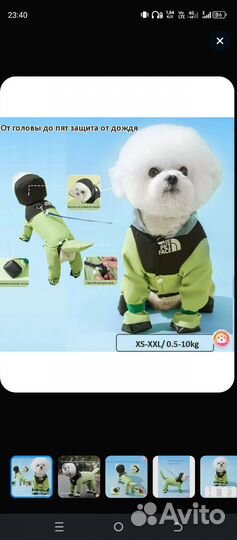 Дождевик для небольшой собаки