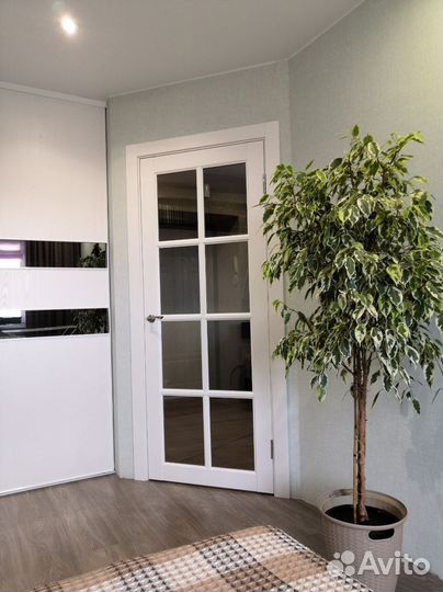 Межкомнатная дверь с установкой