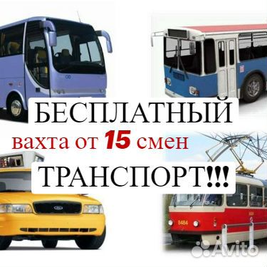 Грузчик.Шереметьево.Вахта.Покупка билета